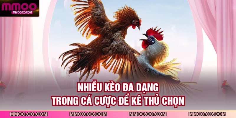 Nhiều kèo đa dạng trong cá cược để kê thủ chọn