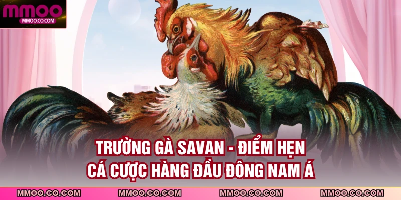 Trường Gà Savan