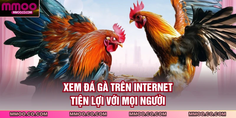 Xem đá gà trên internet tiện lợi với mọi người